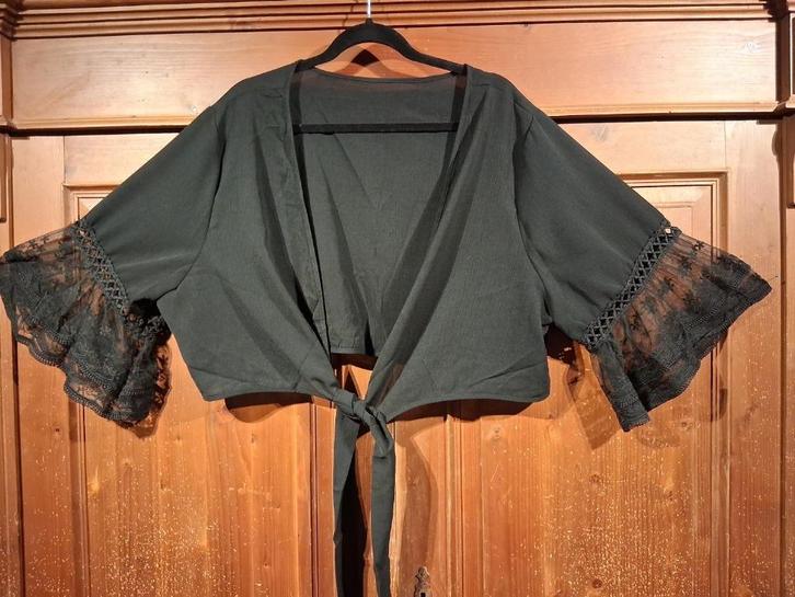 zwarte chiffon bolero met kanten mouwen One Size, Kleding | Dames, Grote Maten, Nieuw, Trui of Vest, Zwart, Ophalen of Verzenden