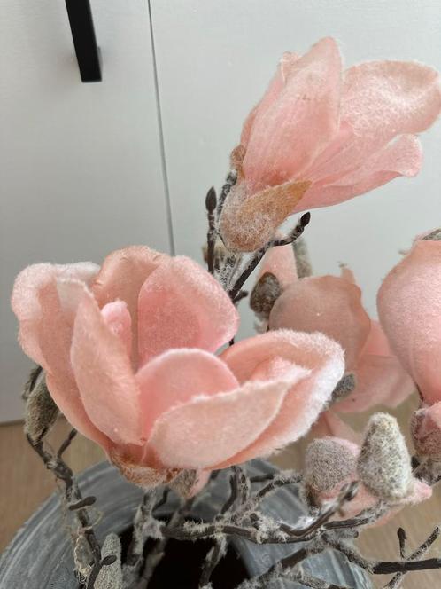 Kunst Magnolia Takken, Set van 2, Huis en Inrichting, Woonaccessoires | Kunstplanten en Kunstbloemen, Nieuw, Binnen, Ophalen of Verzenden