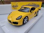 Porsche 981 Cayman S Minichamps, Ophalen of Verzenden, Nieuw, Auto, MiniChamps