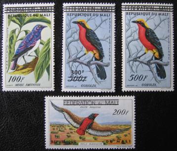 MALI 39 - Dieren: vogels beschikbaar voor biedingen