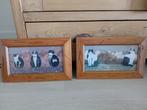 2 schilderijtjes met katten 31.5x19.5 cm, Minder dan 50 cm, Ophalen of Verzenden, Minder dan 50 cm, Print