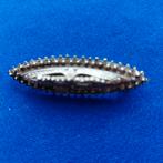 Antieke Zilveren Broche - Slank Ovaal, Verzenden, Zilver, Zilver