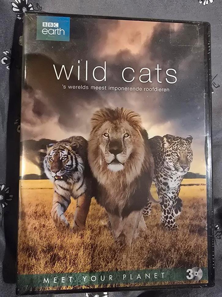 Wild Cats DVD Box - Natuurdocumentaire, Cd's en Dvd's, Dvd's | Documentaire en Educatief, Nieuw in verpakking, Natuur, Boxset