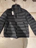 Nieuwe originele warme Peuterey winter puffer XL XXL, Kleding | Heren, Jassen | Winter, Overige kleuren, Nieuw, Overige maten