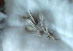 broche Filigrain zilver, volgnr 6, Antiek en Kunst, Ophalen of Verzenden, Zilver