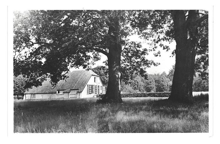977030 Hoenderloo Otterlo Gld 1951 Boerderij de Pampel Nette, Verzamelen, Ansichtkaarten | Nederland, Ongelopen, Gelderland, 1940 tot 1960