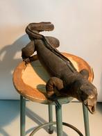 Oude Opgezette Varaan - Uniek Decoratieobject, Ophalen of Verzenden, Gebruikt, Reptiel of Amfibie, Opgezet dier