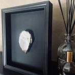 Oesterlijst met Gouden Oester - Zwarte lijst en achtergrond, Minder dan 50 cm, Nieuw, Ophalen of Verzenden, Minder dan 50 cm