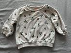 Hema truitje maat 62, Kinderen en Baby's, Babykleding | Maat 62, Ophalen of Verzenden, Zo goed als nieuw