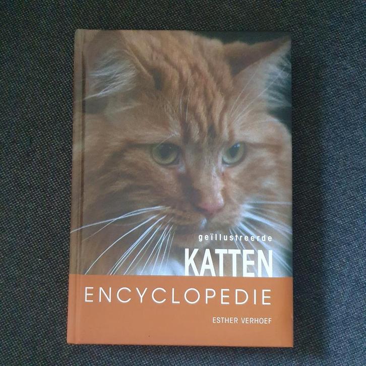 Geïllustreerde Katten Encyclopedie - Esther Verhoef, Boeken, Dieren en Huisdieren, Zo goed als nieuw, Katten, Ophalen of Verzenden
