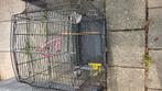 Vogelkooi, Dieren en Toebehoren, Ophalen, Gebruikt, Metaal, Vogelkooi