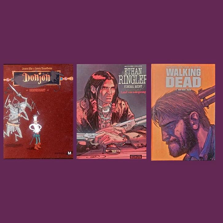 3x NL stripboek Donjon Ethan Ringer Walking Dead Sint tip, Boeken, Strips | Comics, Zo goed als nieuw, Meerdere comics, Europa