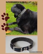 Halsband met gespsluitimg, Dieren en Toebehoren, Ophalen of Verzenden, Handgemaakt, Nieuw