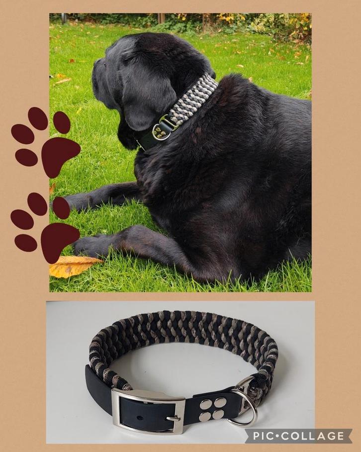 Halsband met gespsluitimg, Dieren en Toebehoren, Hondenhalsbanden en Penningen, Nieuw, Handgemaakt, Ophalen of Verzenden