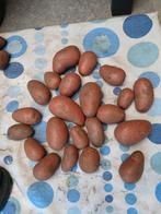 Alouette Aardappelen - Vers van het Land!, Ophalen, Voorjaar, Volle zon, Zaad