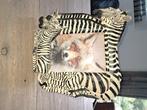 Leuk fotolijstje zebra, Huis en Inrichting, Woonaccessoires | Schilderijen, Tekeningen en Foto's, Minder dan 50 cm, Overige typen