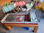 Cavia kooi, Dieren en Toebehoren, Ophalen, Kooi, Cavia, Minder dan 60 cm