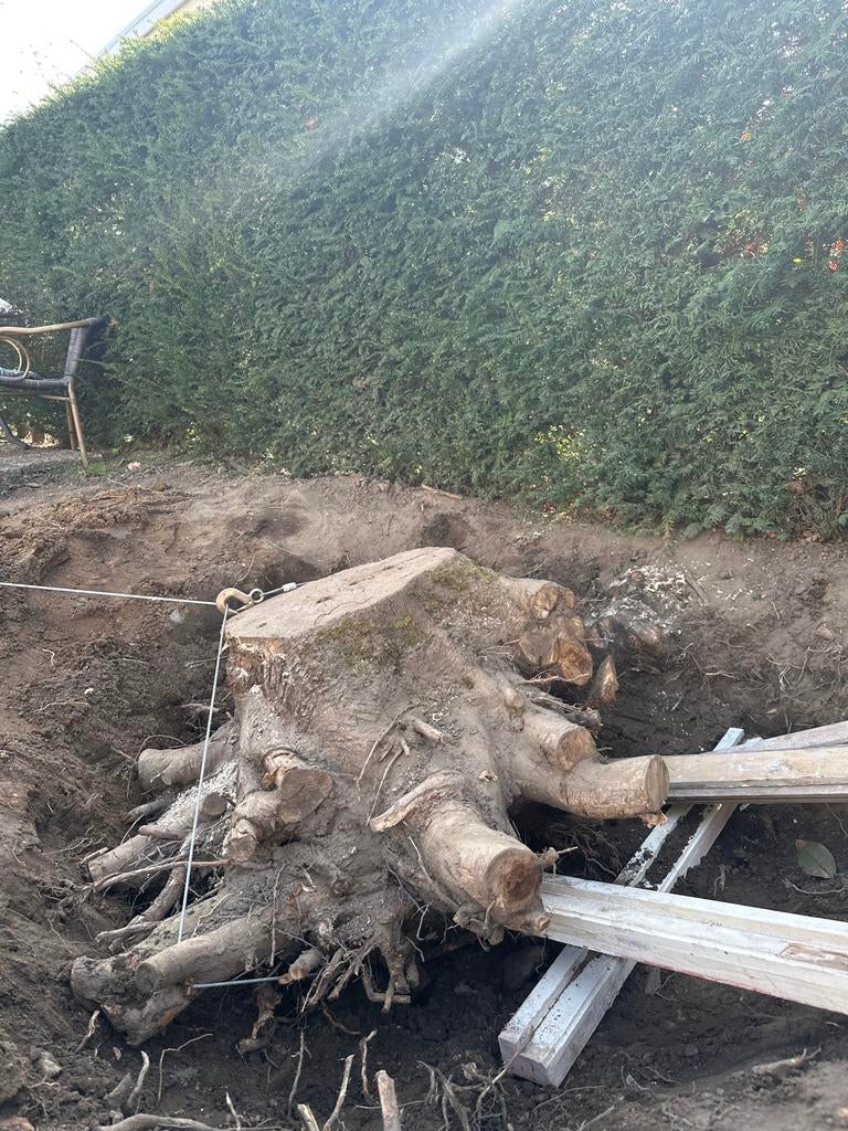 Grote boomstam gratis meenemen, Tuin en Terras, Ophalen, Gebruikt