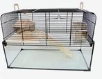 Hamsterkooi met Chinese dwerghamster plus toebehorrn. ZGAN, Dieren en Toebehoren, Ophalen, Zo goed als nieuw, Loopwiel of Rad