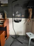 Kooi op standaard inclusief 2 forpus parkieten, Dieren en Toebehoren, Ophalen, Gebruikt, Metaal, Vogelkooi