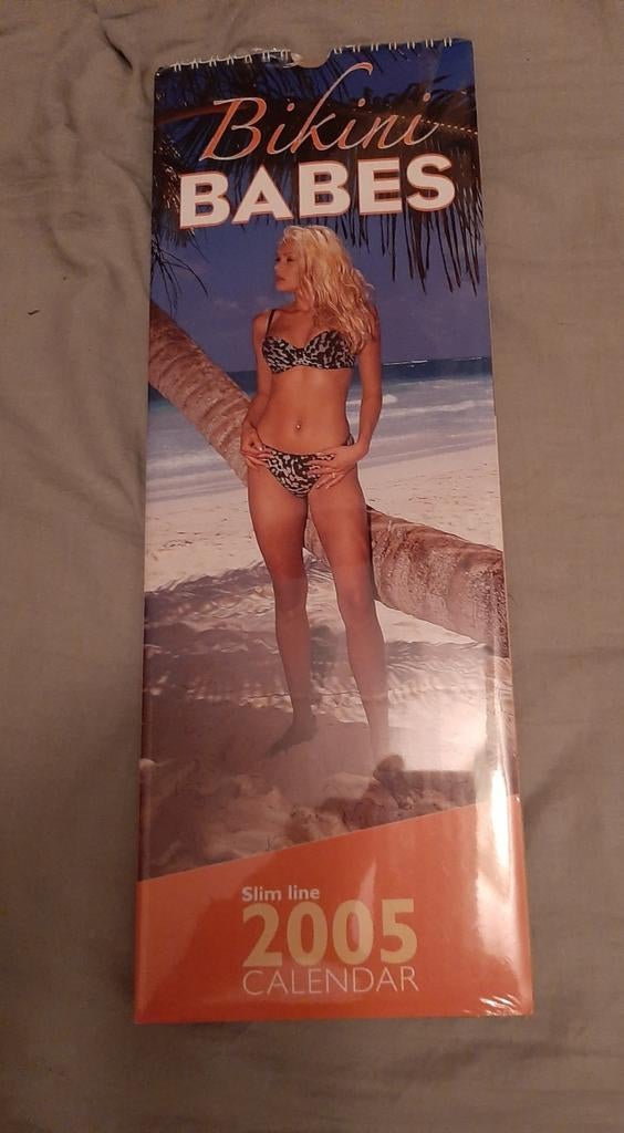 Kalenders., Ophalen of Verzenden, Maandkalender, Nieuw