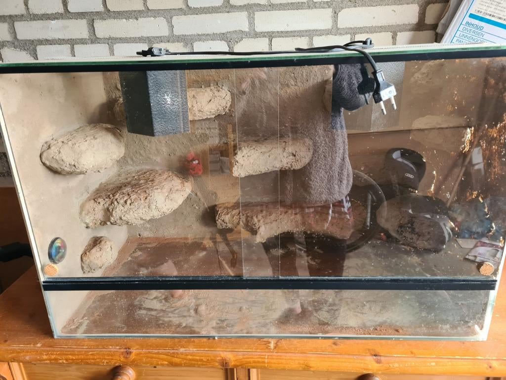 Terrarium, Dieren en Toebehoren, Reptielen en Amfibieën | Toebehoren, Ophalen
