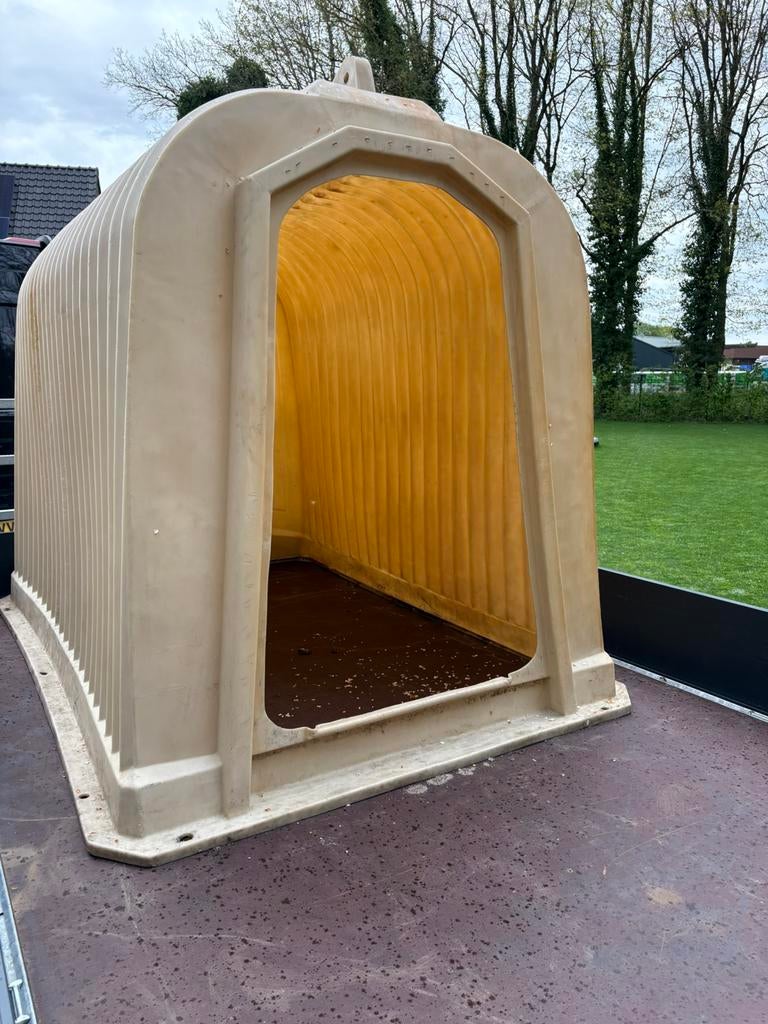 Schuilhok, Mannelijk, Geit