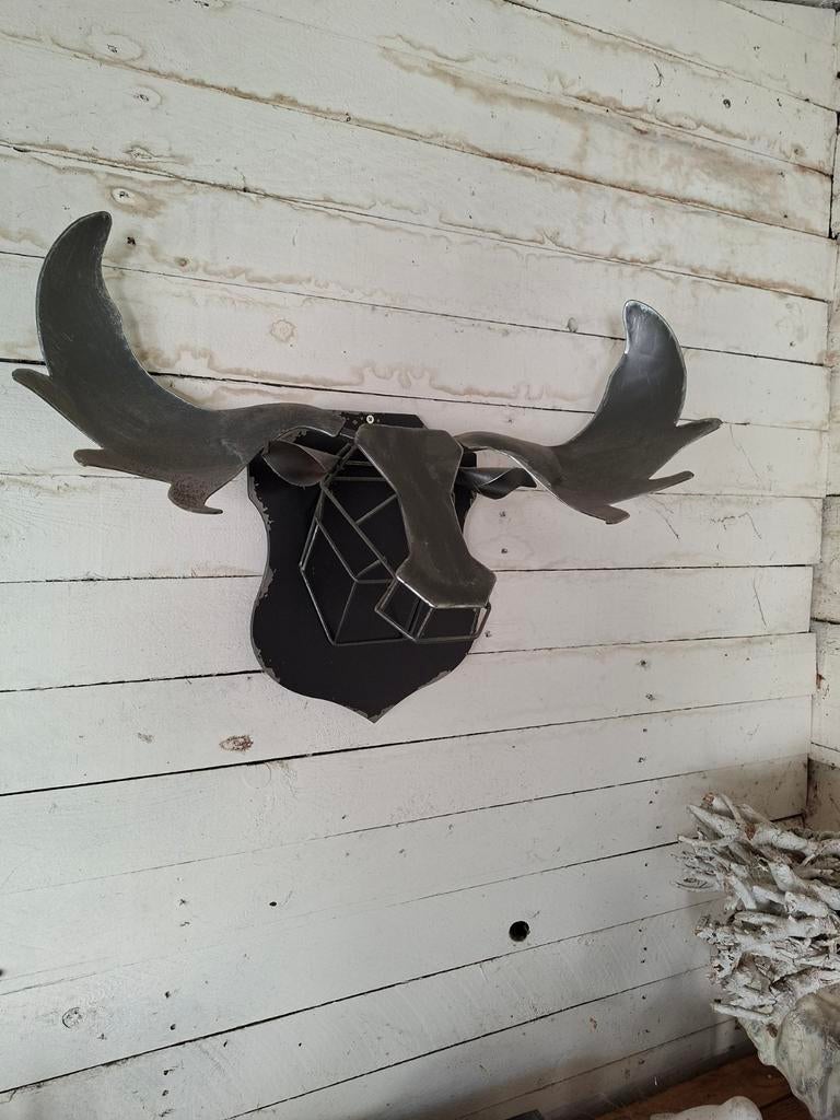 Eland en eekhoorns, Ophalen