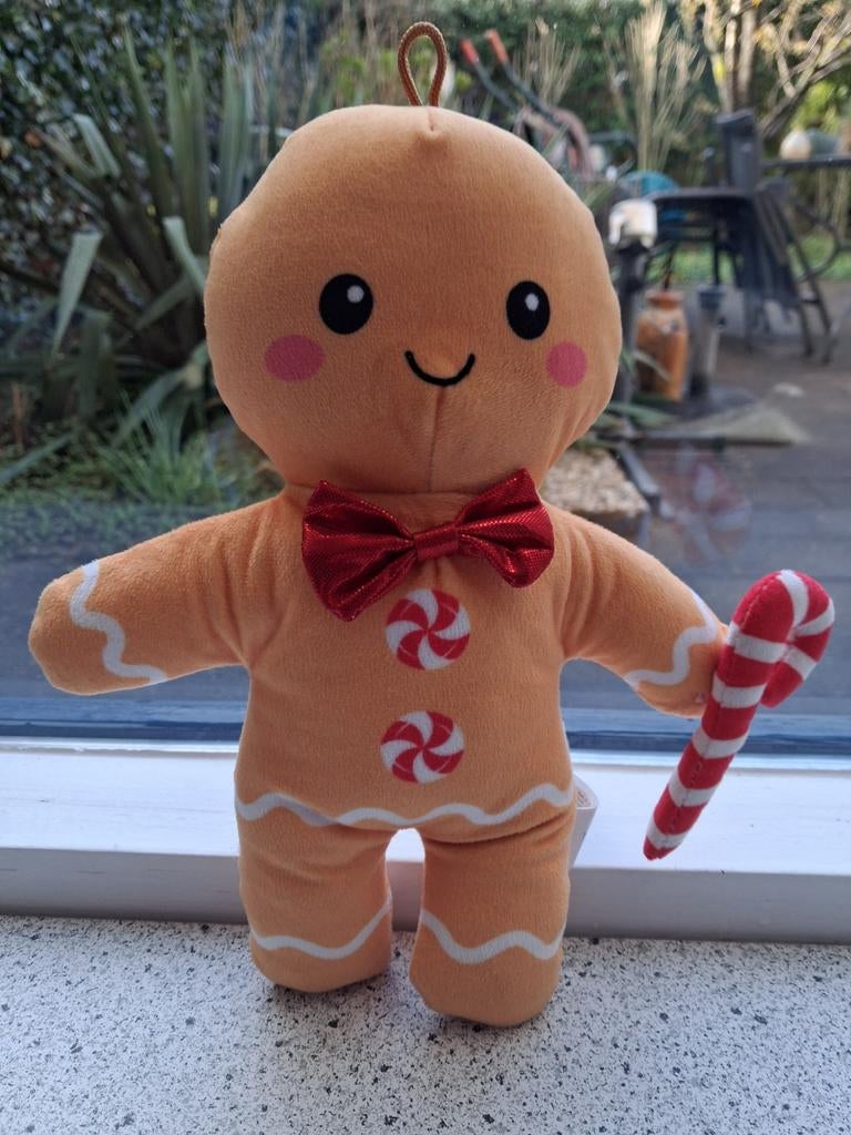 Koekie Koekemannetje merk Paws Christmas, Ophalen of Verzenden, Zo goed als nieuw, Overige typen