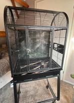 Prachtige vogelkooi, Ophalen, Zo goed als nieuw, Metaal, Vogelkooi