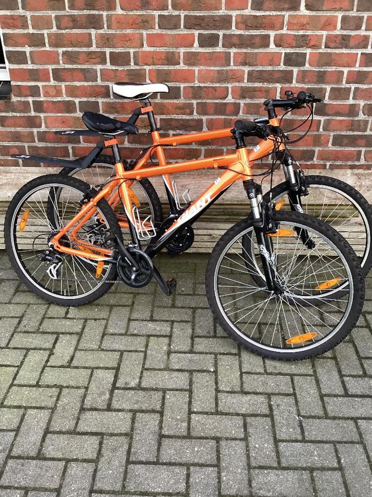 Mountainbike giant, Fietsen en Brommers, Fietsen | Mountainbikes en ATB, Gebruikt, Giant, 49 tot 53 cm, Ophalen