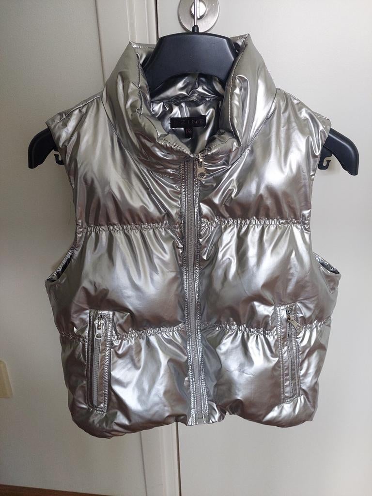 Zilverkleurige bodywarmer maat 176, Kinderen en Baby's, Kinderkleding | Maat 176, Ophalen of Verzenden, Zo goed als nieuw, Meisje