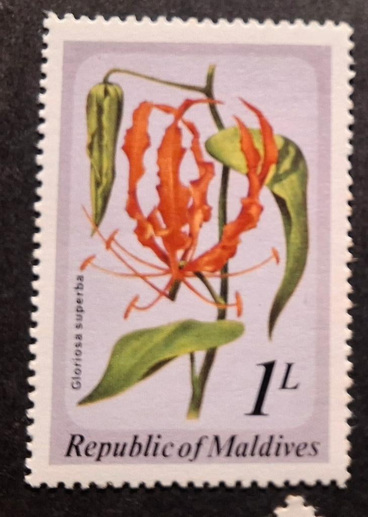 Maledieven c bloemen, Ophalen of Verzenden, Dier of Natuur