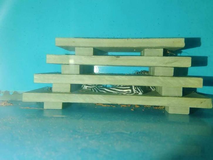 Legflat - Pagode - Schuilplaats L-Nummers, Dieren en Toebehoren, Vissen | Aquaria en Toebehoren, Nieuw, Overige typen, Ophalen