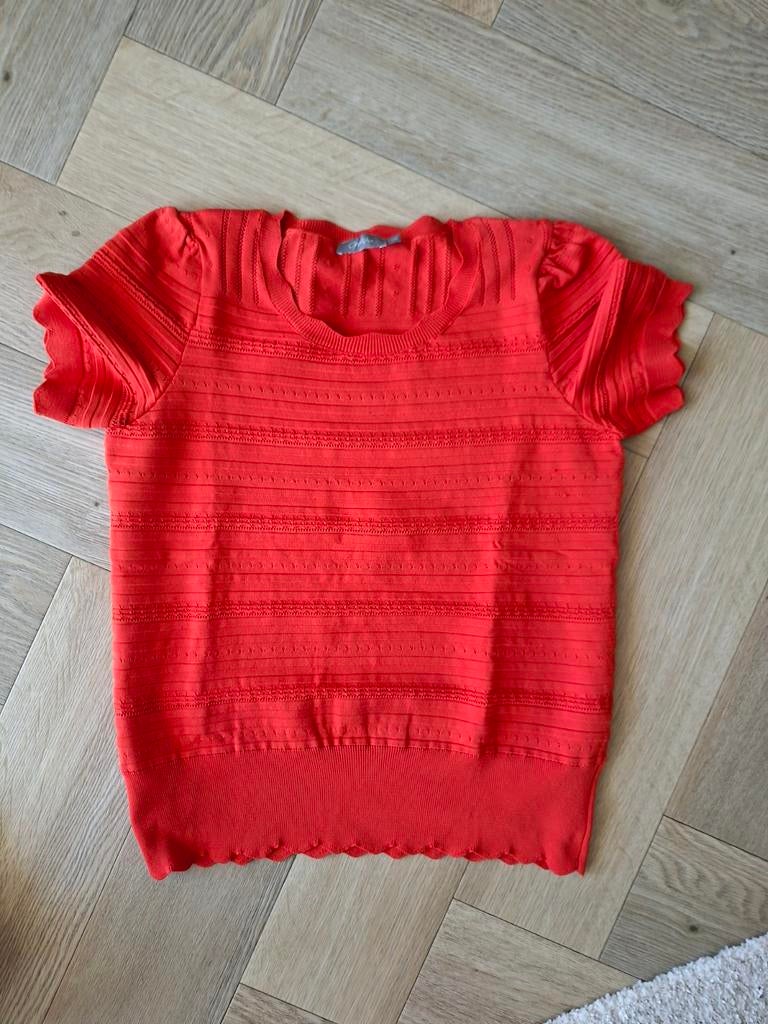 Geisha truitje maat 40 Orange, Kleding | Dames, T-shirts, Maat 38/40 (M), Geisha, Oranje, Ophalen of Verzenden