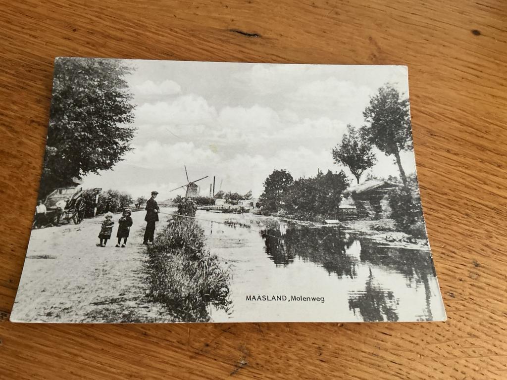 1009 molen Maasland REPRODUCTIE, Ophalen of Verzenden, Zeeland