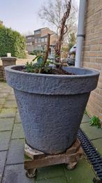 Mooie plantenpot, Ophalen, Steen, Minder dan 60 cm, Rond