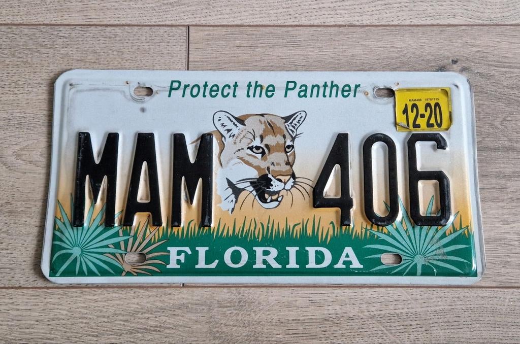Vind usa kentekenplaat florida in Verzamelen op