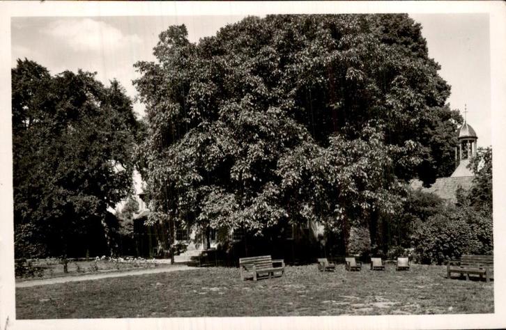 Weerselo - Stiftshuis - Achterzijde, Verzamelen, Ansichtkaarten | Nederland, Gelopen, Overijssel, 1940 tot 1960, Ophalen of Verzenden