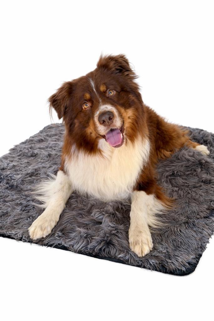 Nieuw in verpakking – PUPPY LOVE Comfy️ Blanket (Dark Grey), Dieren en Toebehoren, Honden-accessoires, Nieuw, Ophalen of Verzenden