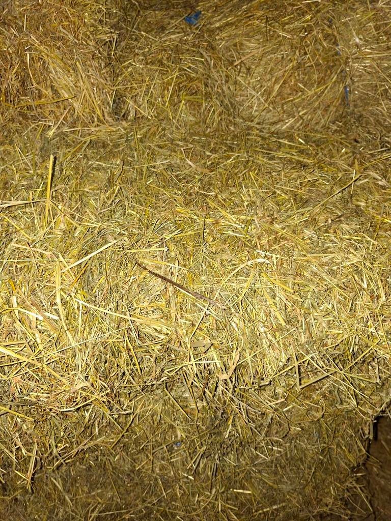 Pakken hooi te koop, Ophalen of Verzenden, Minder dan 10 m²