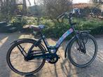 Dames Beick fiets met prachtig bloemenframe, Fietsen en Brommers, Fietsen | Dames | Damesfietsen, 50 tot 53 cm, Ophalen of Verzenden