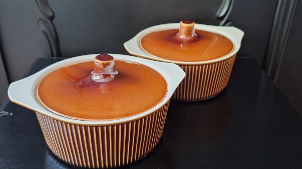 2x Boch bruin met doosje, Huis en Inrichting, Keuken | Potten en Pannen, Ophalen of Verzenden, Nieuw, Overige materialen, Overige typen