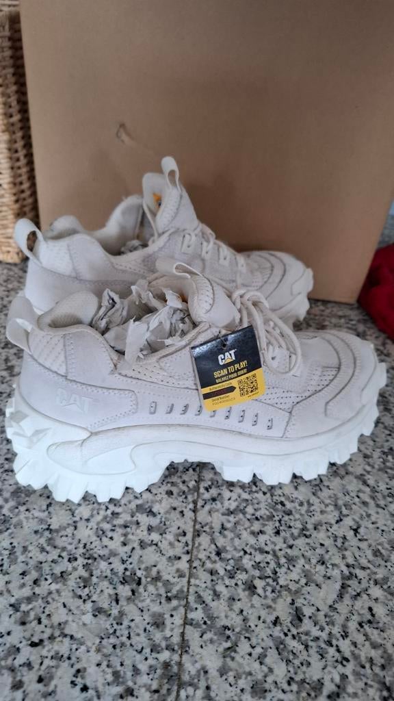 Schoen Cat intruder maat 41, Ophalen, Nieuw