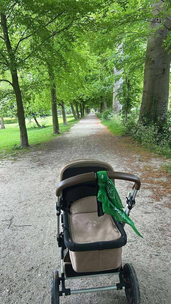 Kinderwagen Bugaboo 3, Kinderen en Baby's, Kinderwagens en Combinaties, Bugaboo, Ophalen of Verzenden