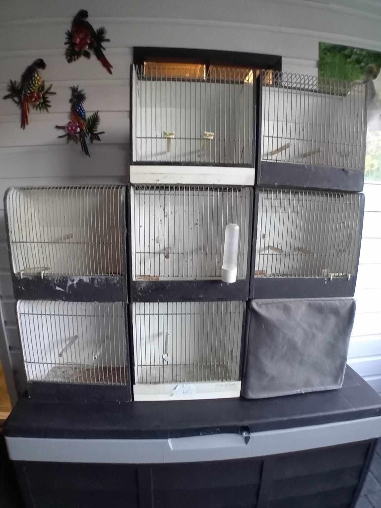 Te koop tentoonstelling kooien, Dieren en Toebehoren, Vogels | Hokken en Kooien, Ophalen, Gebruikt, Hout, Broedkooi of Kweekkooi