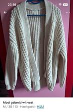 Mooie oversized vesten, Kleding | Dames, Truien en Vesten, Ophalen of Verzenden, Zo goed als nieuw, Maat 38/40 (M), Overige kleuren