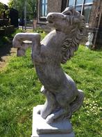 Steigerend paard klein massief gegoten steen, prachtig !!, Dierenbeeld, Steen, ., Nieuw