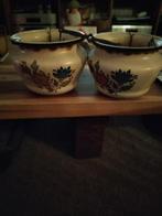 Twee Flora Gouda plateel emaille potten, Ophalen