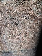 Hooi te koop ronde balen, Dieren en Toebehoren, Ophalen of Verzenden, Vee